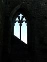 Tintern Abbey - 018